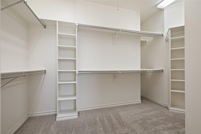 2411 Oak Shadow Ct, Arlington, TX 76017 - walk in closet featuring carpet floors