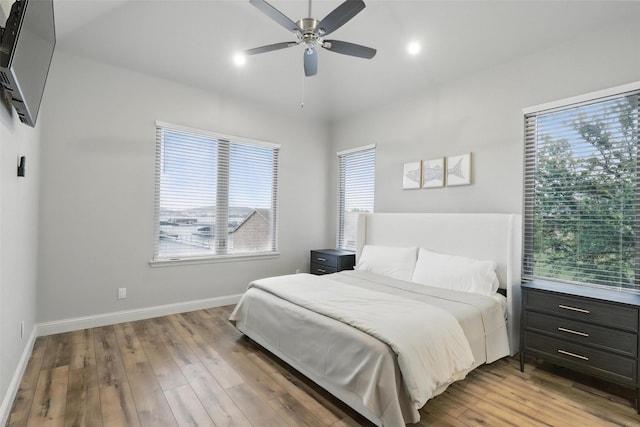 1011 Cardinal Cv, Graford, TX 76449 - bedroom featuring light wood finished floors, multiple windows, and baseboards