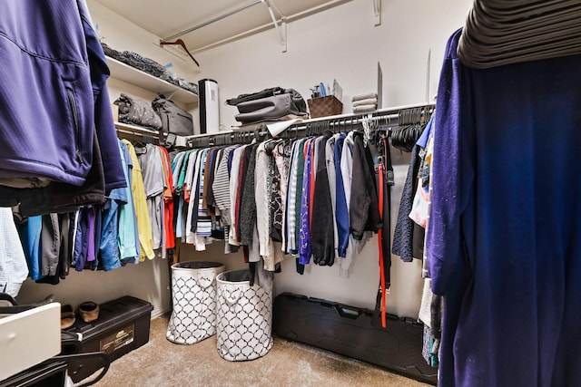 1431 Bonham Pkwy, Lantana, TX 76226 - walk in closet featuring carpet