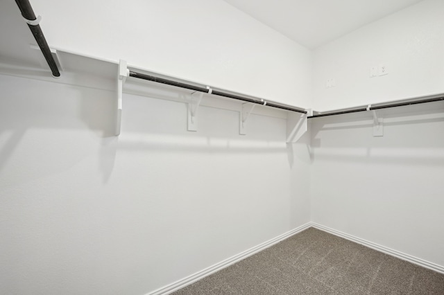 709 Caraway Dr, Princeton, TX 75071 - spacious closet featuring carpet