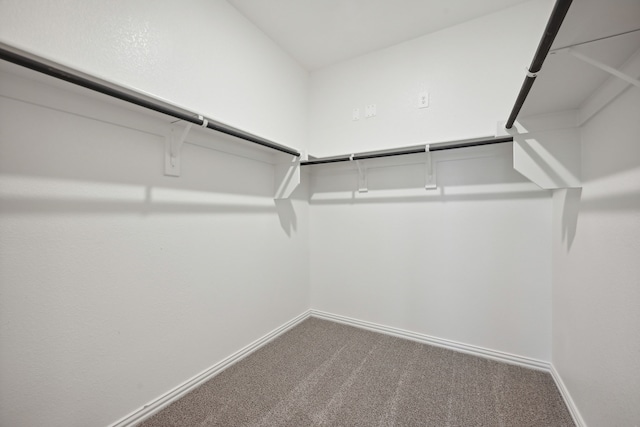 spacious closet with carpet floors