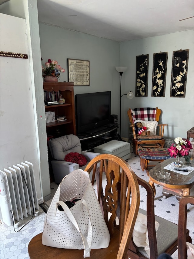 8947 Adams Cir, Cresson, TX 76035 - living area with radiator heating unit