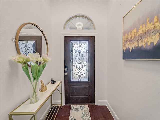 entrance foyer with baseboards and dark wood finished floors