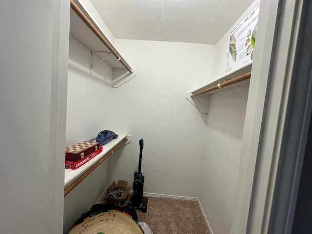 spacious closet with carpet flooring