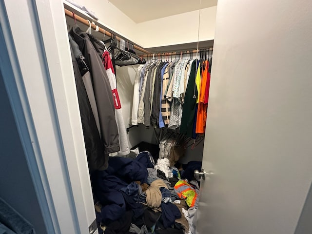 view of walk in closet