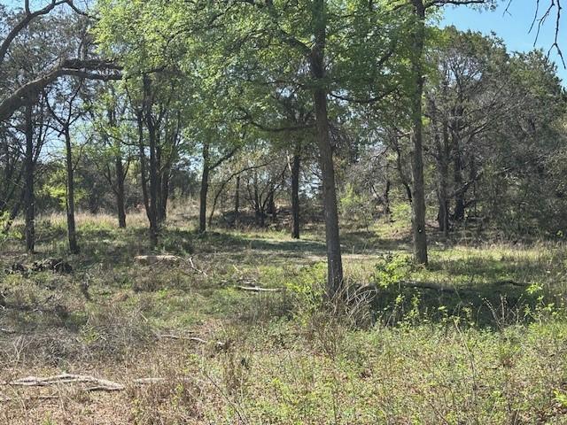 1255 Eagles Bluff Dr, Weatherford, TX 76087