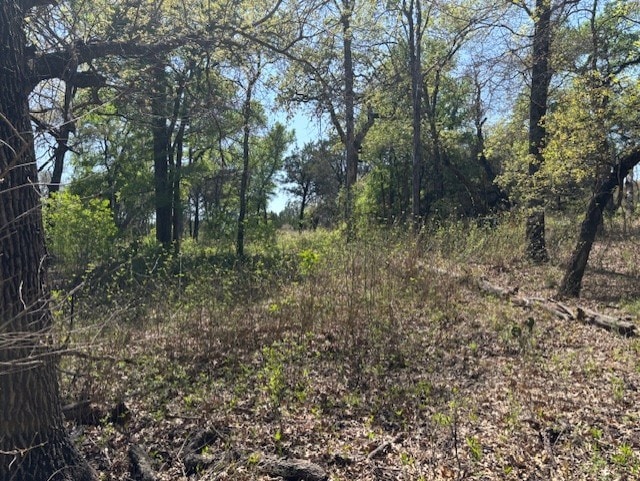 1255 Eagles Bluff Dr, Weatherford, TX 76087