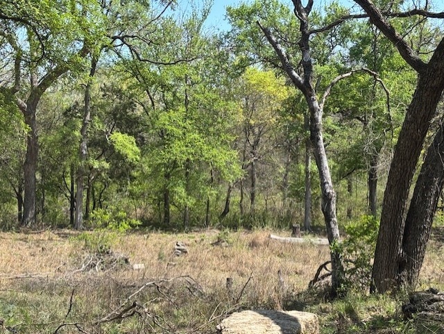 1255 Eagles Bluff Dr, Weatherford, TX 76087