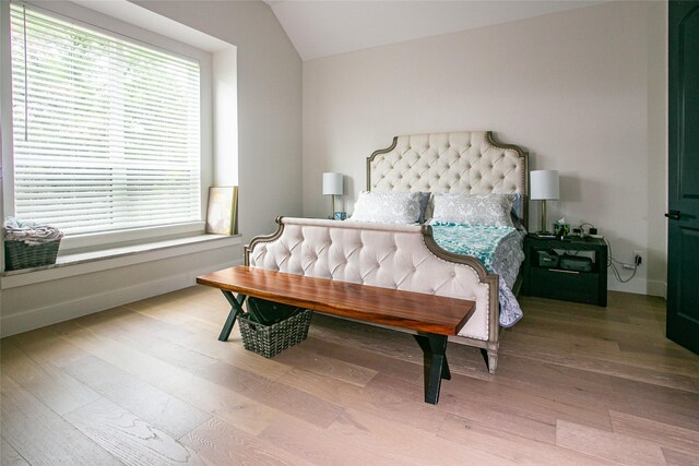 2519 Tamaron Cv, Cedar Hill, TX 75104 - bedroom featuring lofted ceiling and wood finished floors