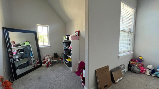 2015 Pacific Ave, Anna, TX 75409 - recreation room featuring vaulted ceiling and carpet
