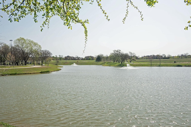 12073 Tyler Dr, Frisco, TX 75035 - water view