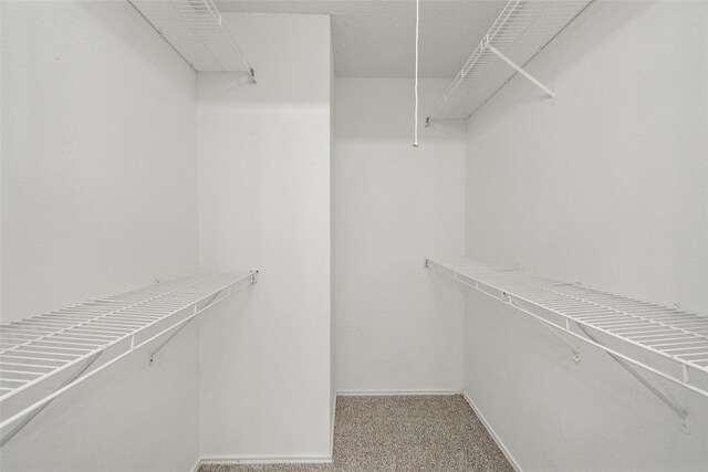 walk in closet with carpet