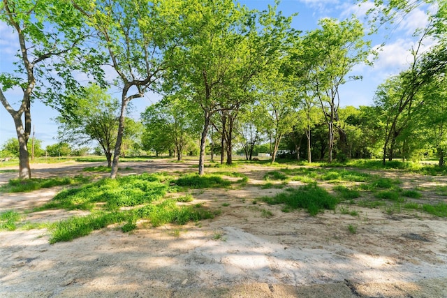 6048 Vz County Rd Unit 2120, Wills Point, TX 75169 - view of yard