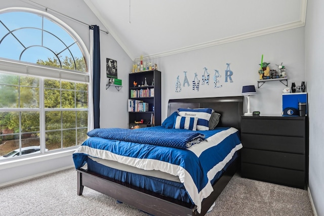 4516 Chesterwood Dr, Plano, TX 75093 - carpeted bedroom featuring lofted ceiling, ornamental molding, and baseboards