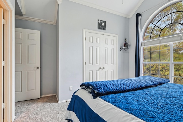 4516 Chesterwood Dr, Plano, TX 75093 - bedroom featuring ornamental molding, carpet, a closet, baseboards, and lofted ceiling