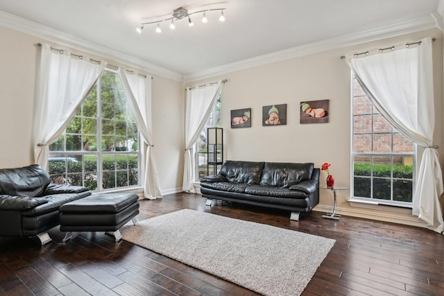4516 Chesterwood Dr, Plano, TX 75093 - living area with ornamental molding, dark wood-style floors, and baseboards