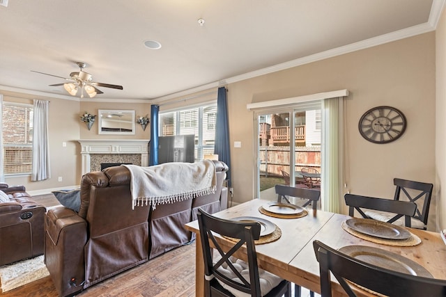 dining area featuring a fireplace, crown molding, a ceiling fan, and wood finished floors