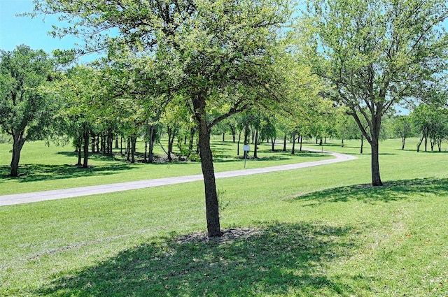 2215 Burgundy Dr, Carrollton, TX 75006 - view of property's community with a lawn