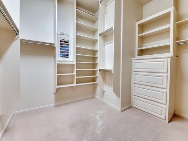 walk in closet featuring carpet floors