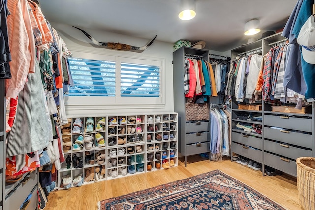 spacious closet featuring wood finished floors