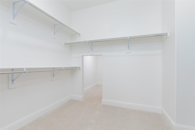 564 Embargo Dr, Fate, TX 75189 - spacious closet with light colored carpet