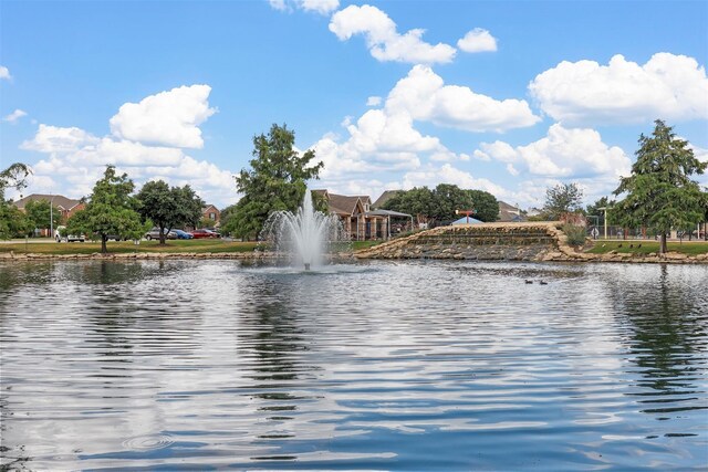 14828 Devils Claw Trl, Fort Worth, TX 76052 - water view