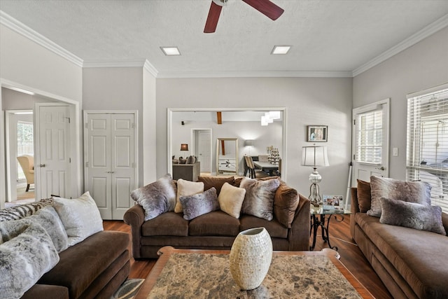 living room featuring ornamental molding, a textured ceiling, ceiling fan, and dark wood finished floors