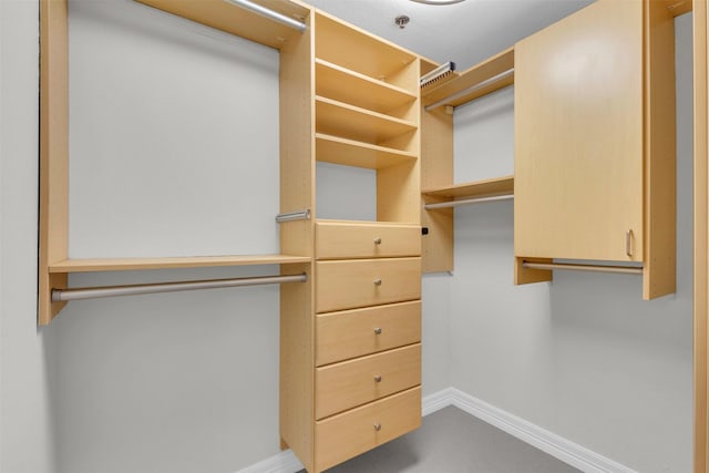 view of spacious closet