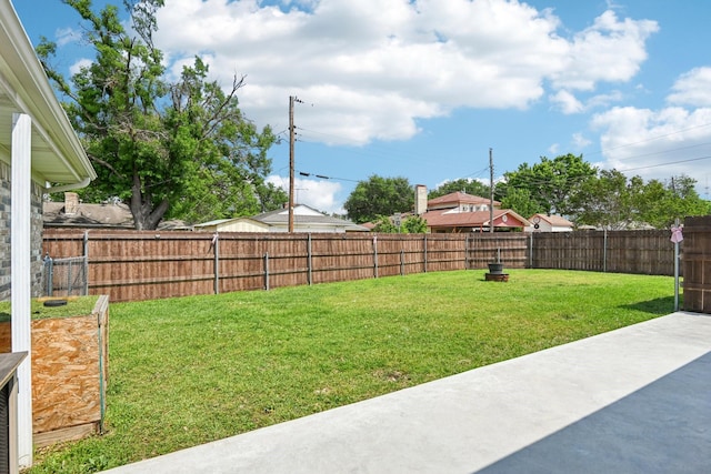 view of yard featuring a patio