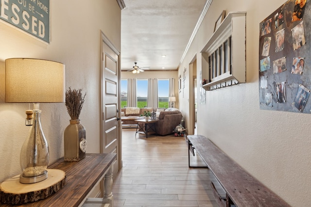 hallway with a textured wall, ornamental molding, and wood finished floors