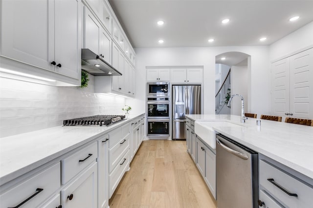 1716 Bradford Pear Way, Celina, TX 75078 - kitchen with appliances with stainless steel finishes, under cabinet range hood, a sink, light wood-type flooring, and backsplash