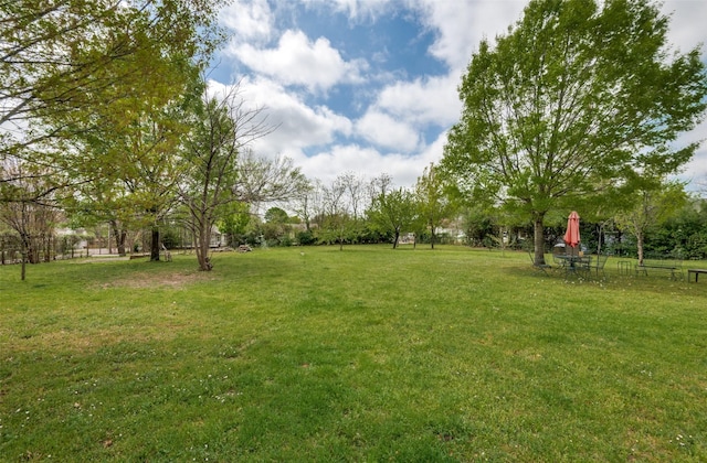 1207 Stafford St, Dallas, TX 75208 - view of grassy yard