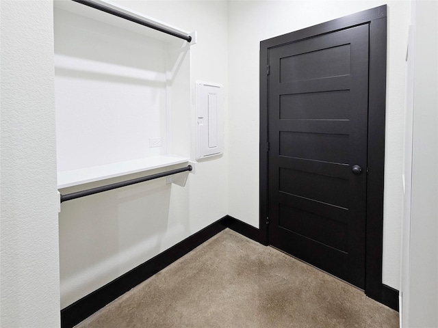 interior space featuring carpet flooring