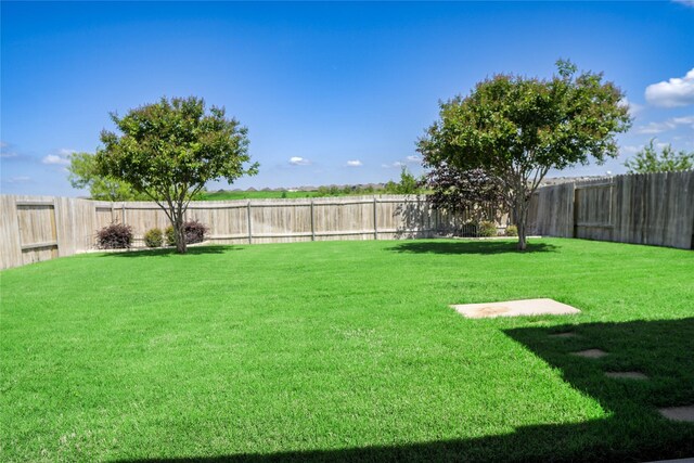 2122 Bluebell, Forney, TX 75126 - view of yard