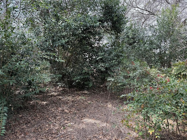 2604 Forest Park Dr, Granbury, TX 76048