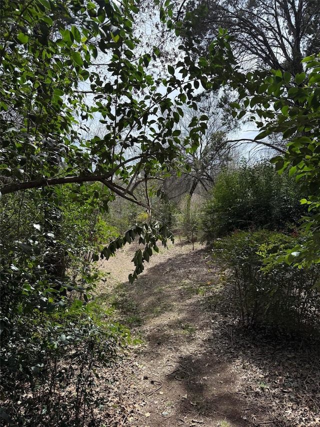 2604 Forest Park Dr, Granbury, TX 76048