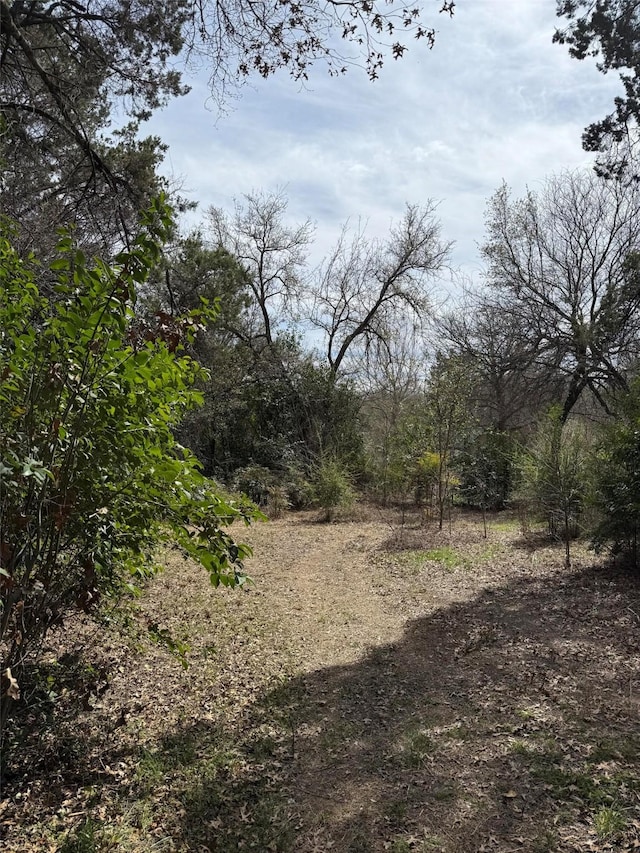 2604 Forest Park Dr, Granbury, TX 76048