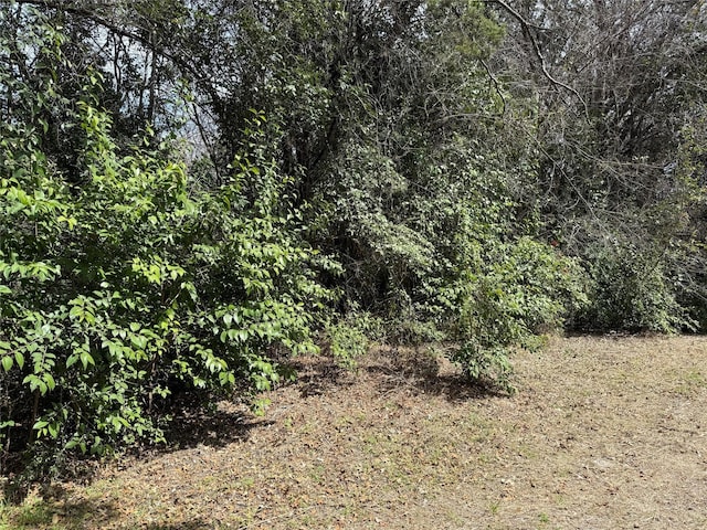2604 Forest Park Dr, Granbury, TX 76048