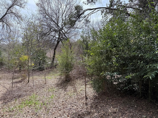 2604 Forest Park Dr, Granbury, TX 76048