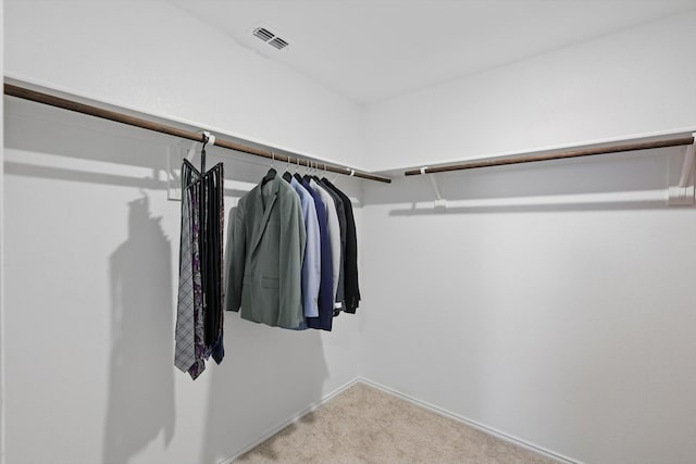 6436 Auburn Dale Rd, Pilot Point, TX 76258 - spacious closet featuring carpet floors