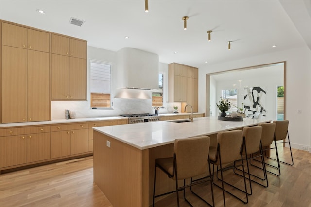 kitchen with a sink, a breakfast bar area, a center island with sink, and light wood finished floors