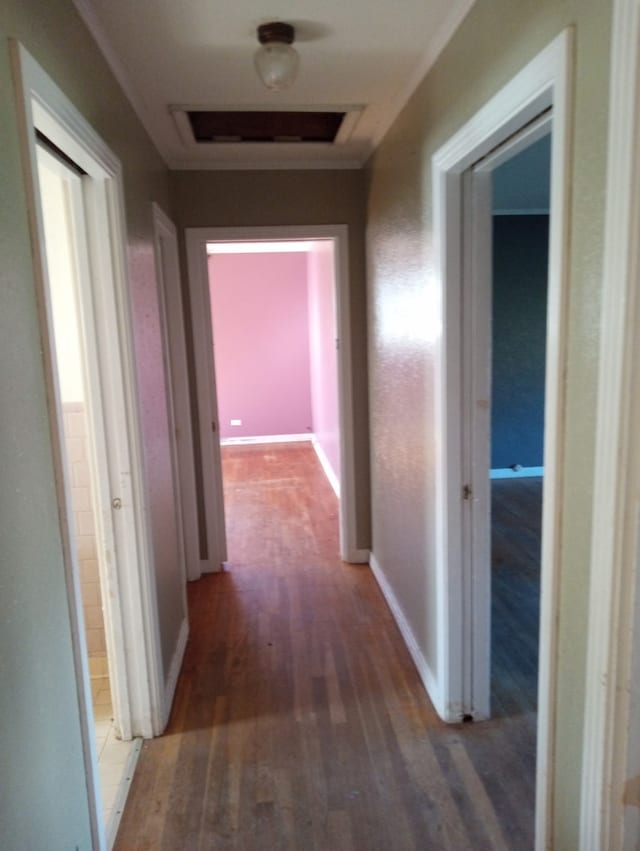 hallway featuring baseboards, visible vents, and wood finished floors