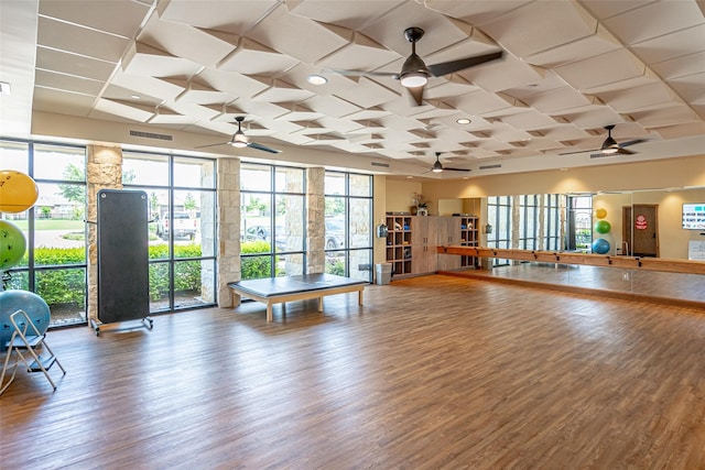 1256 Bright Stars Dr, Little Elm, TX 76227 - exercise room with ceiling fan, wood finished floors, and plenty of natural light