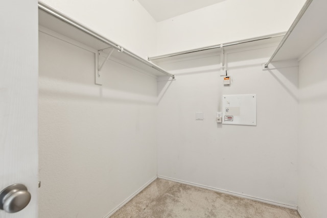 walk in closet with light colored carpet