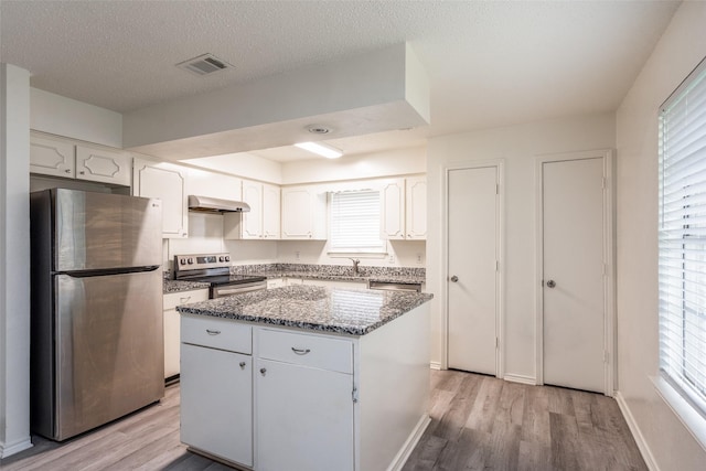 3100 E Park Blvd, Plano, TX 75074 - kitchen with appliances with stainless steel finishes, under cabinet range hood, light wood-style floors, a sink, and a textured ceiling