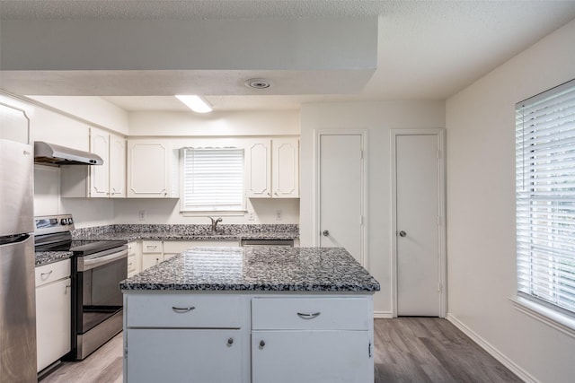 3100 E Park Blvd, Plano, TX 75074 - kitchen with stainless steel appliances, range hood, a sink, light wood-type flooring, and a kitchen island