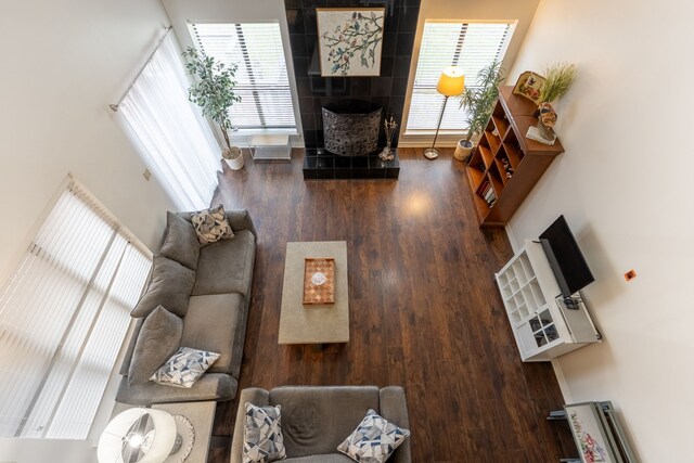 living area featuring wood finished floors and a tile fireplace
