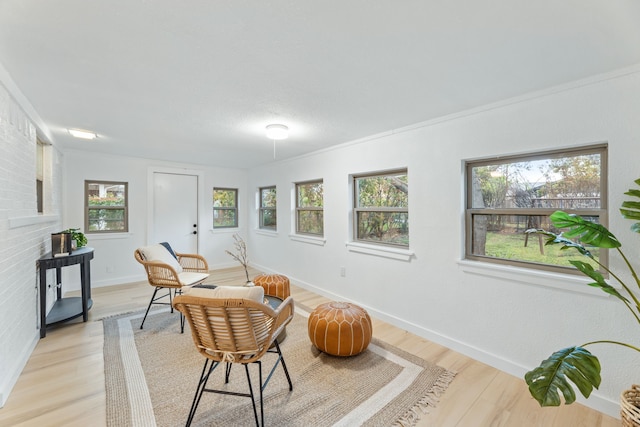 9056 Berkshire Dr, Frisco, TX 75033 - living area with plenty of natural light, light wood-style flooring, and baseboards