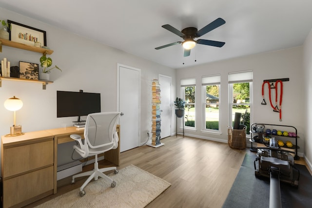 office area featuring a ceiling fan, light wood-style flooring, and baseboards