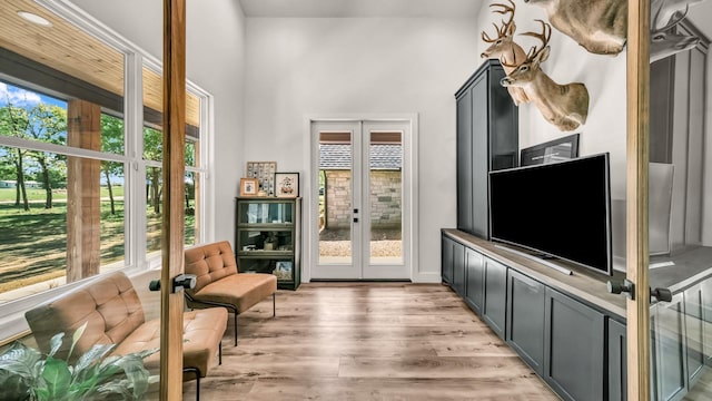 118 E Bay Dr, Bridgeport, TX 76426 - interior space with french doors and light wood finished floors